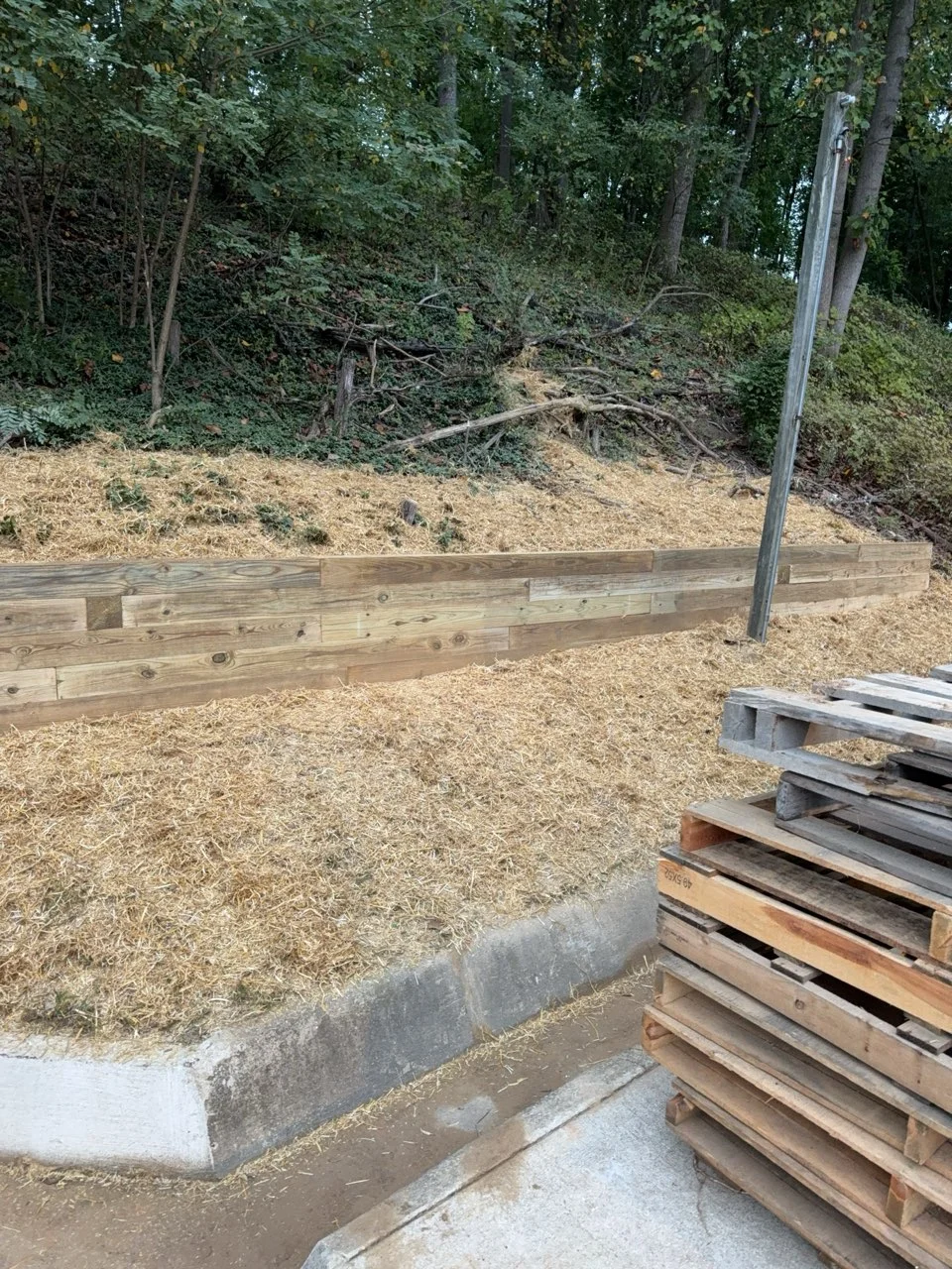 Before - Project 3