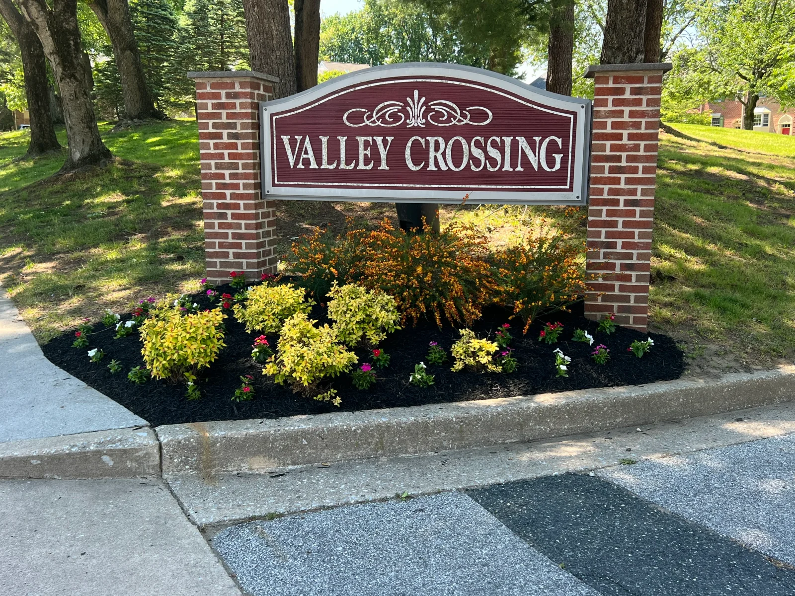 Brick entrance sign with golden shrubs and flowering plants in black mulch bed