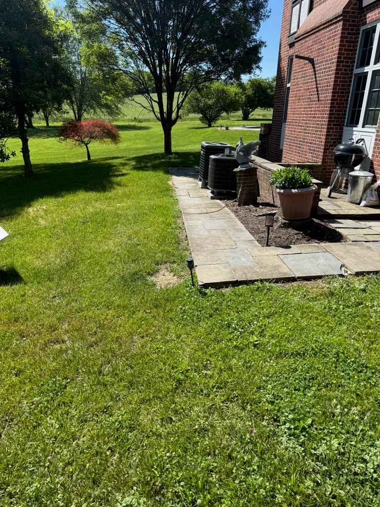 Before - Project 1
